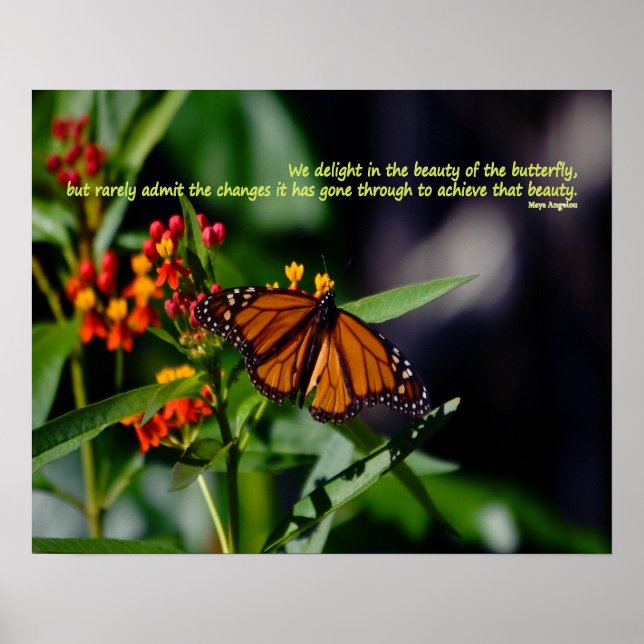 Poster Borboleta monarca com citação de Maya Angelou (Frente)