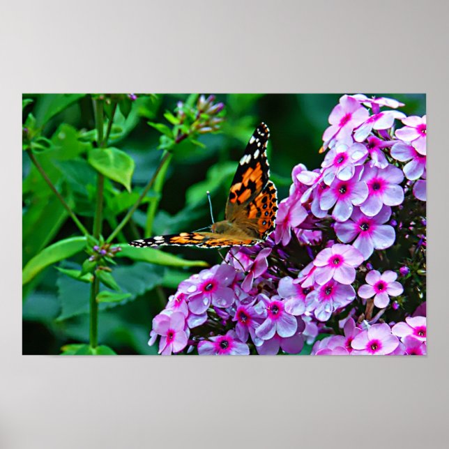Poster Borboleta Monarca em Flores (Frente)