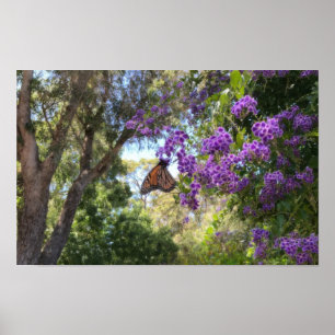 Poster Borboleta Monarca em Flores Roxas