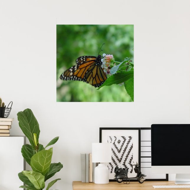 Poster Borboleta Monarca Esvoaçante na Flor (Escritório em casa)