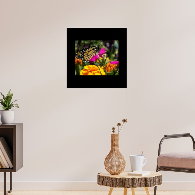 Poster Borboleta Monarca na Flor Marigold Rosa (Sala de Estar 3)