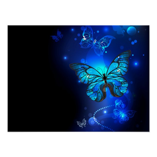 Póster Borboleta Morpho em Fundo Escuro (Frente)