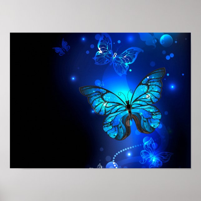 Poster Borboleta Morpho em Fundo Escuro (Frente)