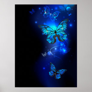 Poster Borboleta Morpho no Fundo Escuro