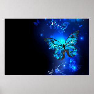 Poster Borboleta Morpho no Fundo Escuro