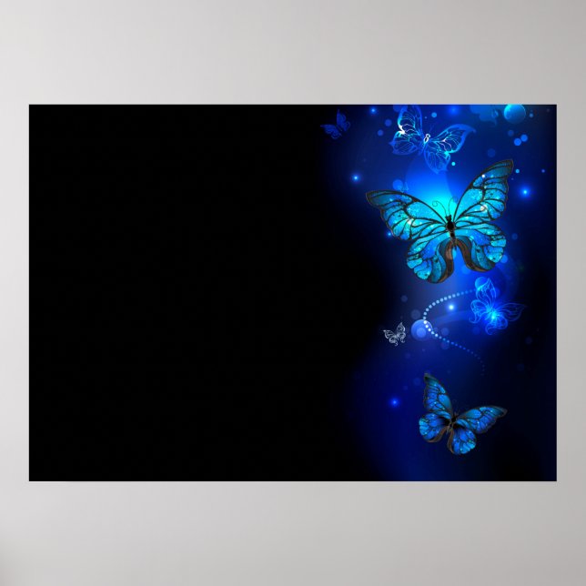 Poster Borboleta Morpho no Fundo Escuro (Frente)