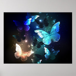 Poster Borboleta Noturna Esvoaçante
