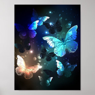 Poster Borboleta Noturna Esvoaçante
