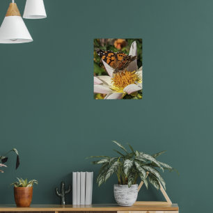 Poster Borboleta Painted Lady em Dahlia Branca