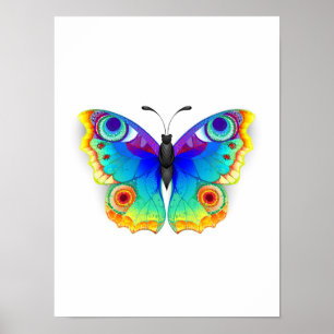 Poster Borboleta Pavão Olho Arco-Íris