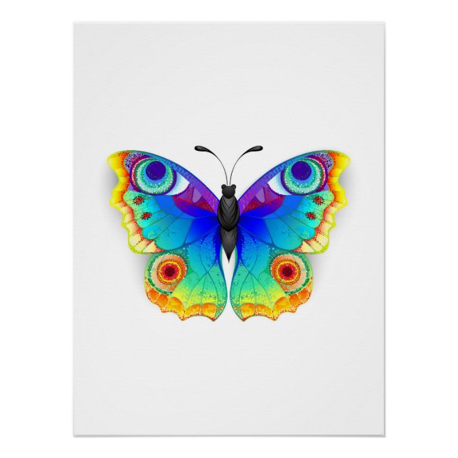 Póster Borboleta Pavão Olho de Arco-Íris (Frente)