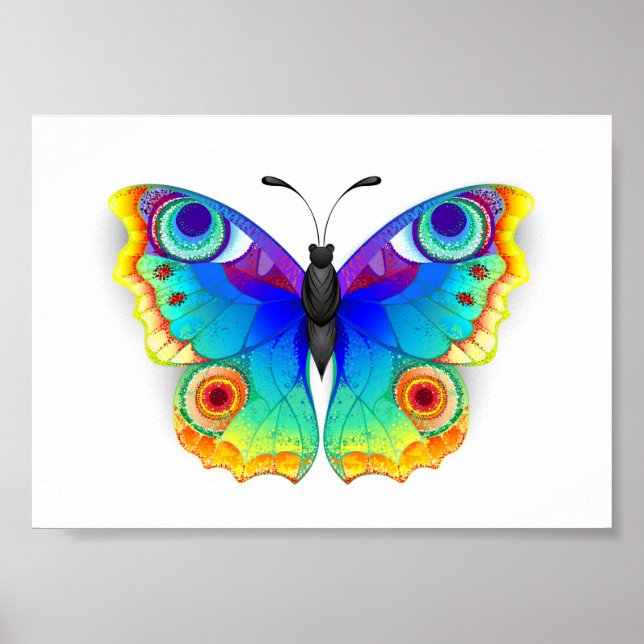 Poster Borboleta Pavão Olho de Arco-Íris (Frente)