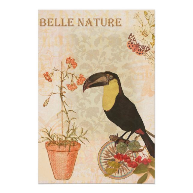 Póster Borboleta rosa-flor-de-pássaro-pintada moderna (Frente)