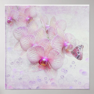Póster Borboleta Sobre Lossóis De Orquídeas