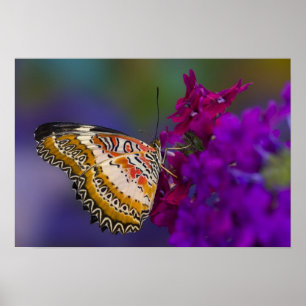 Poster Borboleta Tropical em Flores Roxas