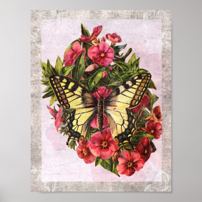 Poster Borboleta Vintage (Frente)