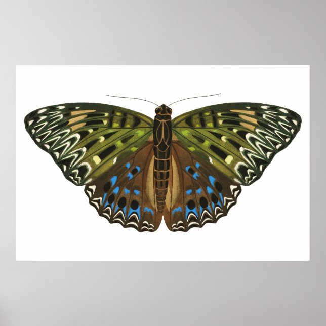 Poster Borboleta Vintage Art nouveau (Frente)