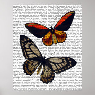 Poster Borboletas 3
