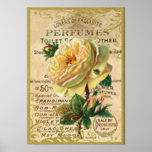 Póster Borboletas antigas do perfume dos rosas