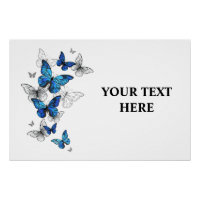 Borboletas Azuis Morpho