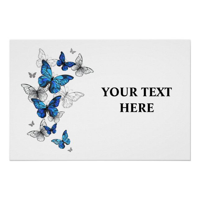 Póster Borboletas Azuis Voadoras Morpho (Frente)