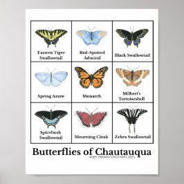 Poster Borboletas de Chautauqua