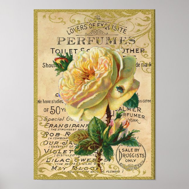 Póster Borboletas de Perfume de Rosas Antigos (Frente)