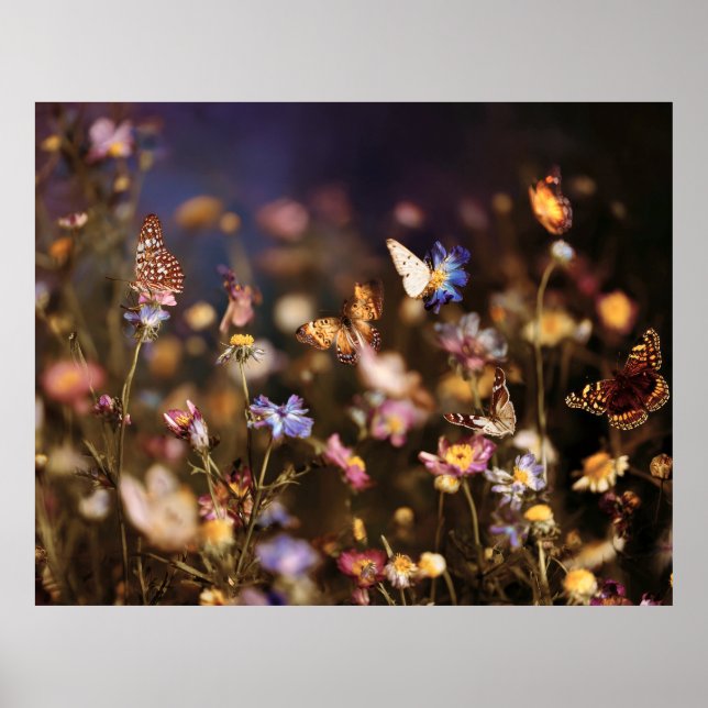 Poster Borboletas do Crepúsculo Prado de Flores Silvestre (Frente)