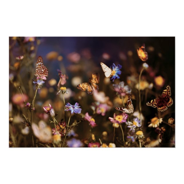 Póster Borboletas do Crepúsculo Prado de Flores Silvestre (Frente)