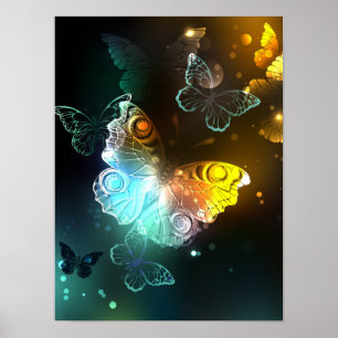 Poster Borboletas luminosas e borboletas noturnas