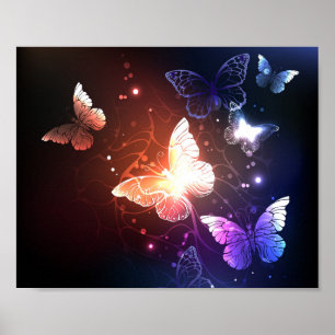 Poster Borboletas noturnas brilhantes