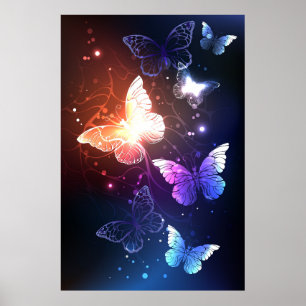 Poster Borboletas noturnas brilhantes