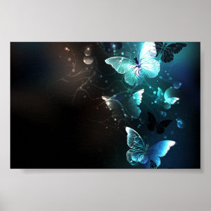Poster Borboletas Noturnas de Menta
