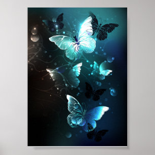 Poster Borboletas Noturnas de Menta