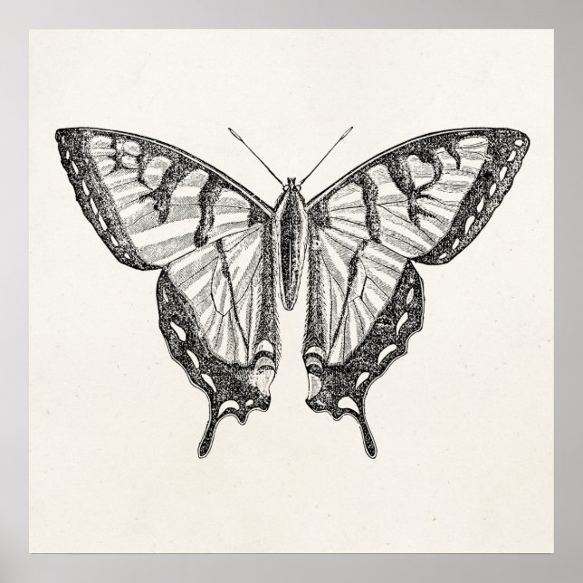 Poster Borboletas Personalizadas Borboletas Vintage Inset (Frente)
