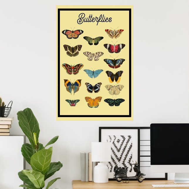 Poster Borboletas Vintage (Escritório em casa)