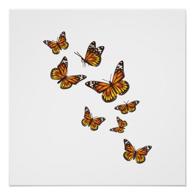 Póster Borboletas Voadoras - Jardineiro Borboleta-Pente E (Frente)