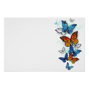 Póster Borboletas voadoras Morpho e Monarca