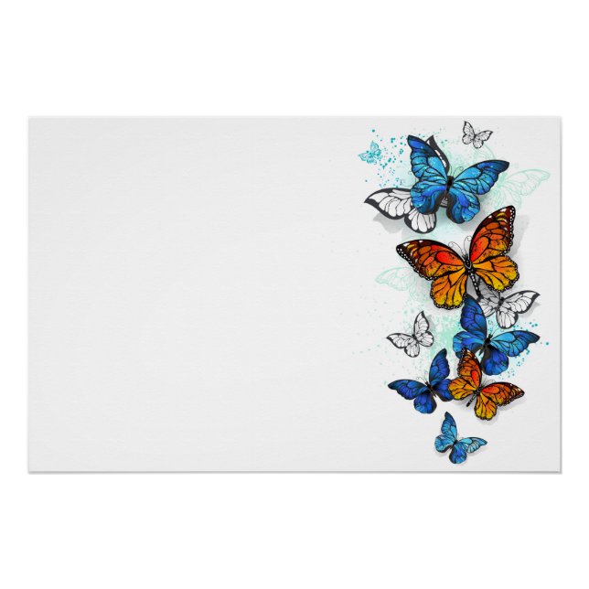 Póster Borboletas voadoras Morpho e Monarca (Frente)