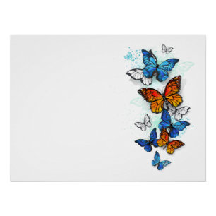 Póster Borboletas voadoras Morpho e Monarca