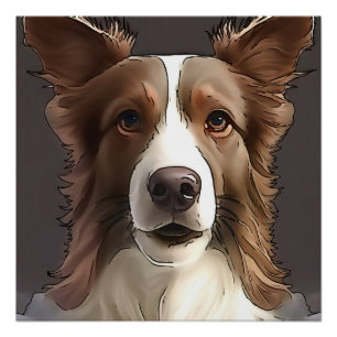 Póster Borda Collie Dog Pet Retrato Black Outline Art