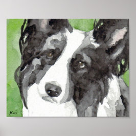 Poster Border Collie Aquarela
