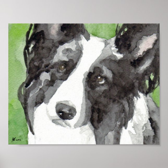 Poster Border Collie Aquarela (Frente)