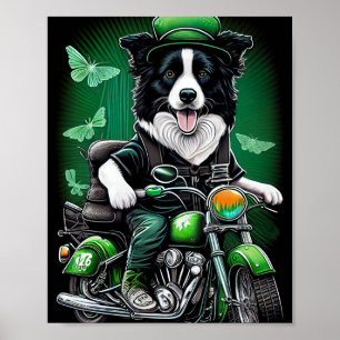 Poster Border Collie Cão Dirigindo Bicicleta Dia de São P