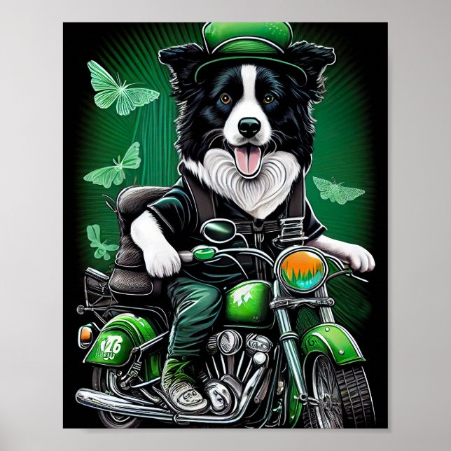 Poster Border Collie Cão Dirigindo Bicicleta Dia de São P (Frente)