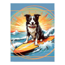 Border Collie Preto e Branco Surfando