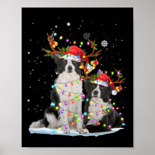 Poster Border Collie Reindeer Santa Hat Xmas Luzes Chris