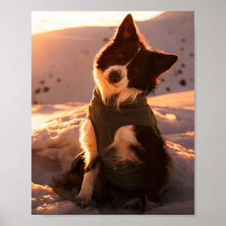 Poster Border Collie Vermelho nas Montanhas Nevadas ao Pô