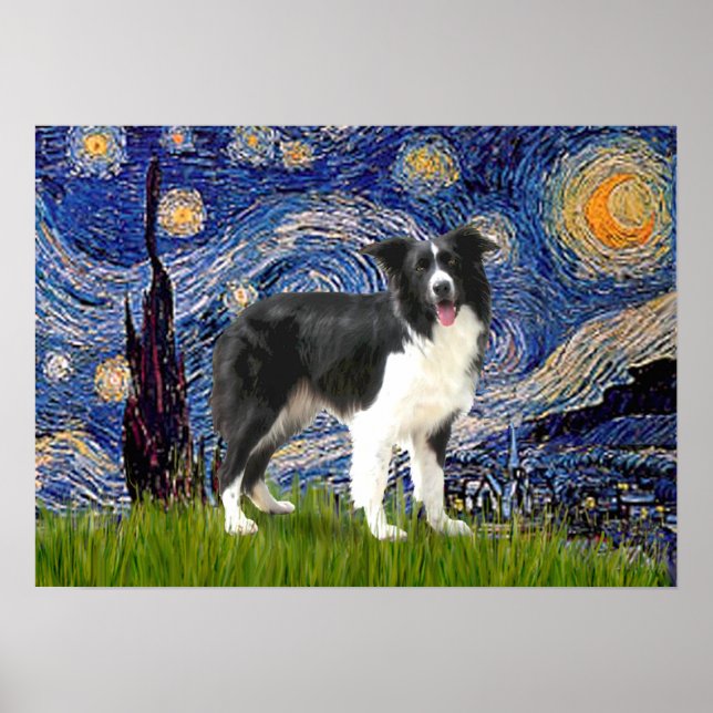 Poster Border Collie (Z) - Noite Estrelada (Frente)