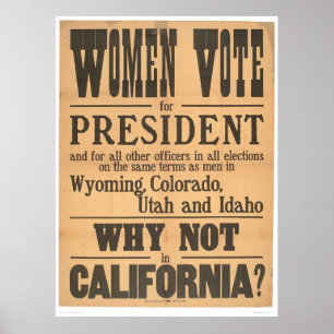 Póster Bordo do voto das mulheres (1873A)